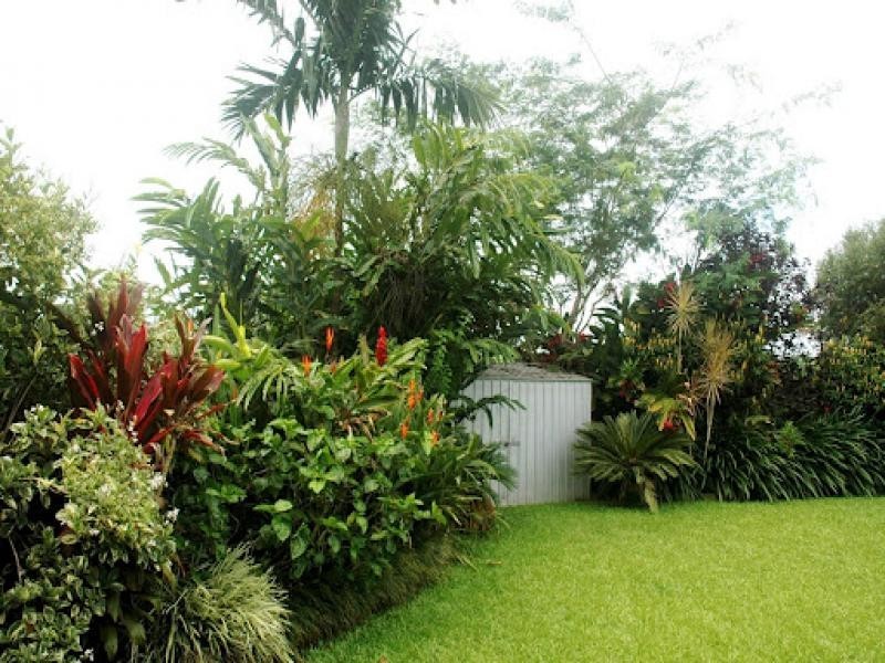 23 Forest Glen Road, Mossman QLD 4873