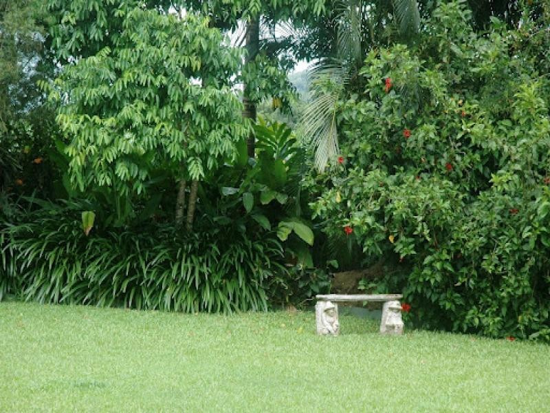 23 Forest Glen Road, Mossman QLD 4873