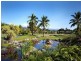 73 BALE DVE, Port Douglas QLD 4877
