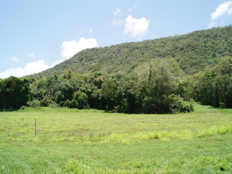 Lots 91 and 95 Mowbray River Rd, Port Douglas QLD 4877