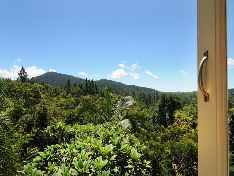 151 Mt Lewis Rd, Julatten QLD 4871