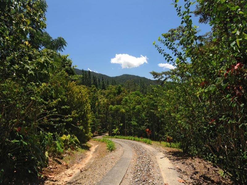 151 Mt Lewis Rd, Julatten QLD 4871