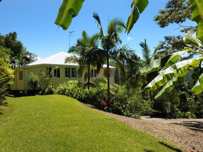 151 Mt Lewis Rd, Julatten QLD 4871