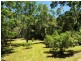 151 Mt Lewis Rd, Julatten QLD 4871
