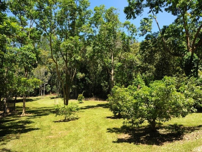 151 Mt Lewis Rd, Julatten QLD 4871