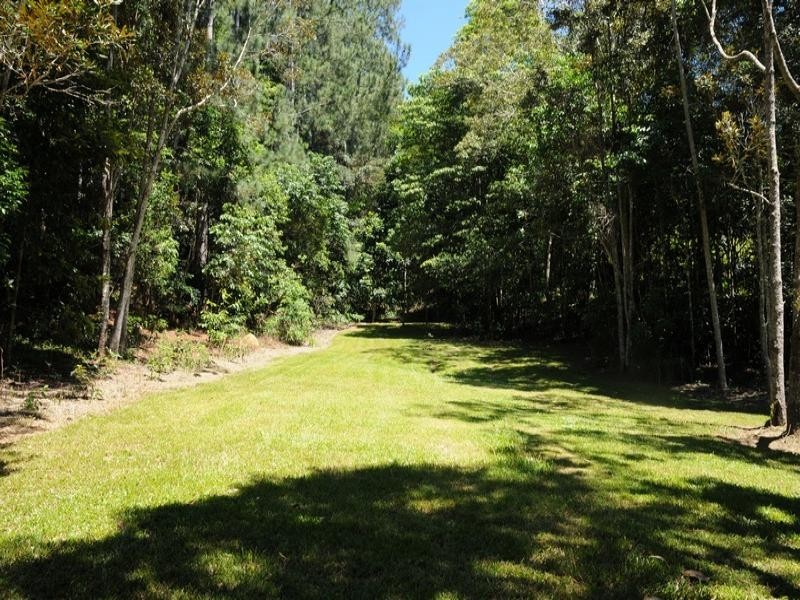 151 Mt Lewis Rd, Julatten QLD 4871