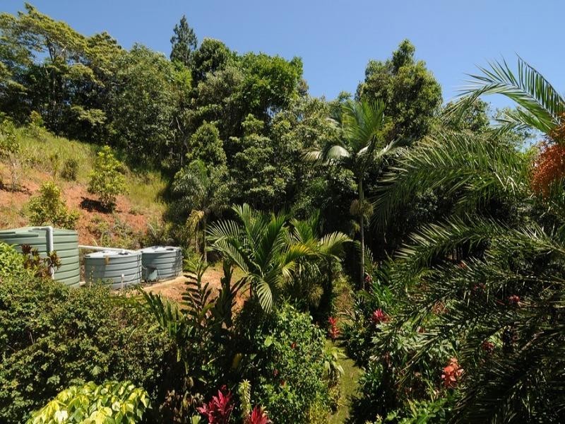 151 Mt Lewis Rd, Julatten QLD 4871