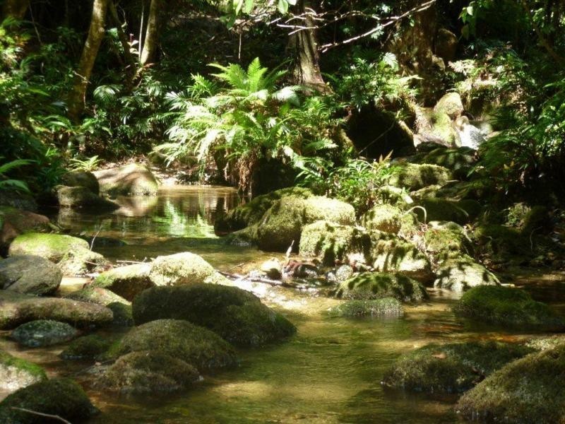 151 Mt Lewis Rd, Julatten QLD 4871