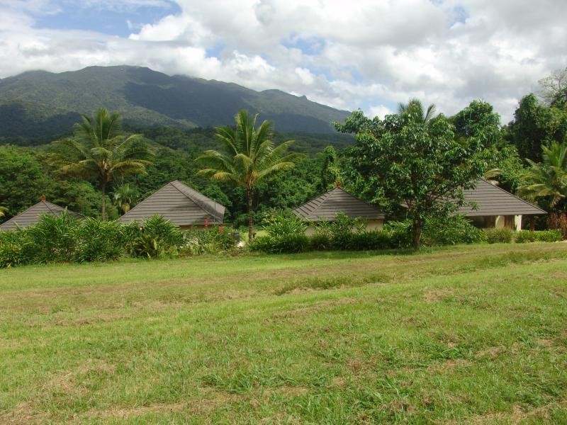 112 and 51 Syndicate Road, Miallo QLD 4873