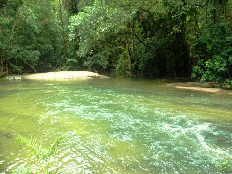 Lot 1 Jenkins Rd, Julatten QLD 4871