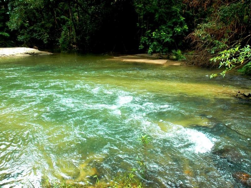 Lot 1 Jenkins Rd, Julatten QLD 4871