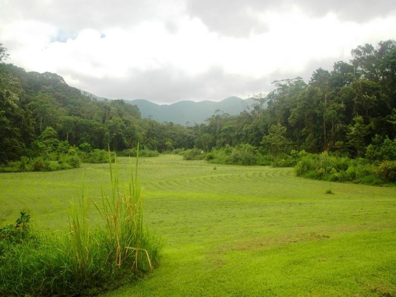 Lot 1 Jenkins Rd, Julatten QLD 4871