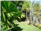 2 Lorikeet Close, Port Douglas QLD 4877