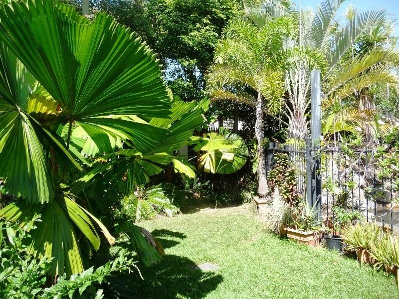 2 Lorikeet Close, Port Douglas QLD 4877