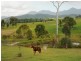 78 MARY JANE DVE, Julatten QLD 4871