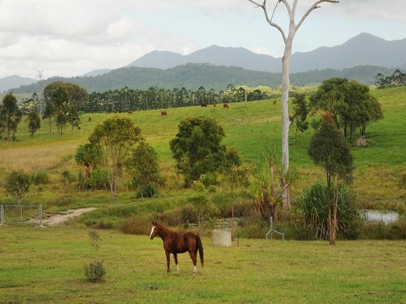 78 MARY JANE DVE, Julatten QLD 4871