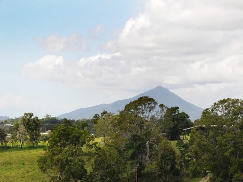 1250 MOSSMAN-MT MOLLOY RD, Julatten QLD 4871
