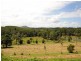 1250 MOSSMAN-MT MOLLOY RD, Julatten QLD 4871