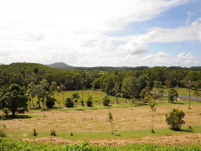 1250 MOSSMAN-MT MOLLOY RD, Julatten QLD 4871