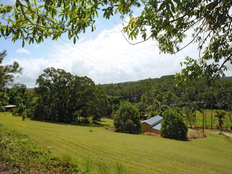 1250 MOSSMAN-MT MOLLOY RD, Julatten QLD 4871