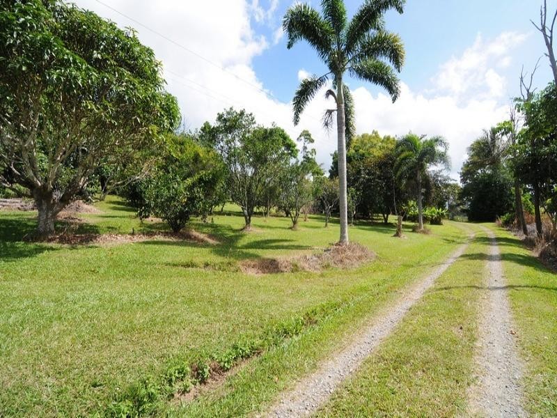1250 MOSSMAN-MT MOLLOY RD, Julatten QLD 4871
