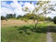 1250 MOSSMAN-MT MOLLOY RD, Julatten QLD 4871
