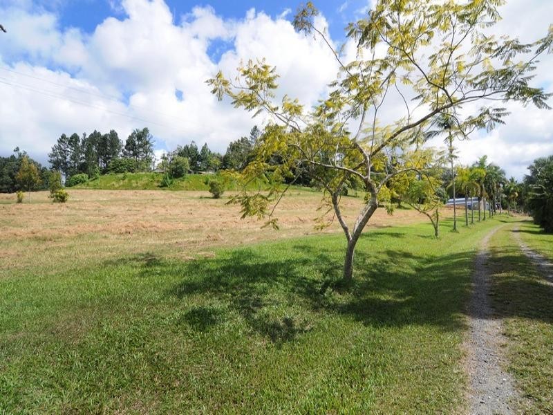 1250 MOSSMAN-MT MOLLOY RD, Julatten QLD 4871