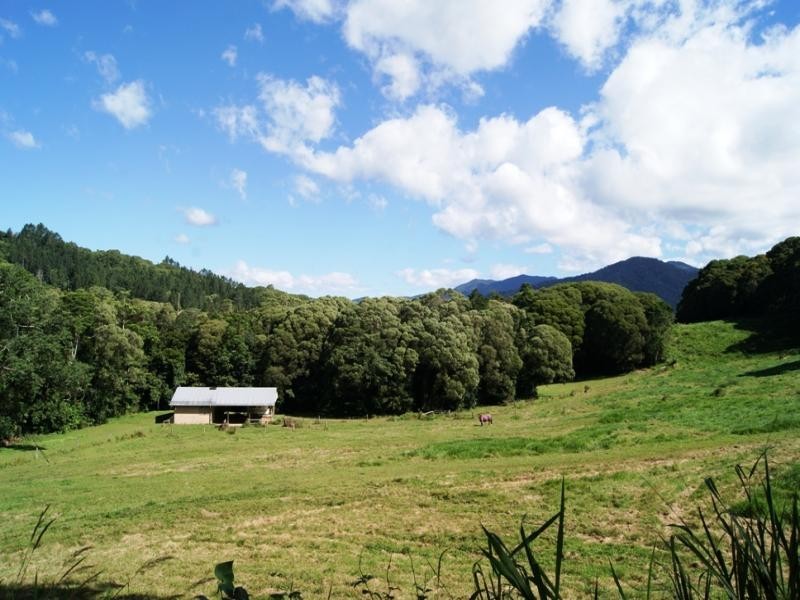 Lot 10 MT PERSEVERANCE RD, Julatten QLD 4871