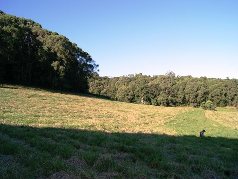 Lot 10 MT PERSEVERANCE RD, Julatten QLD 4871