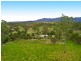 95 Mcleans Bridge Road, Julatten QLD 4871