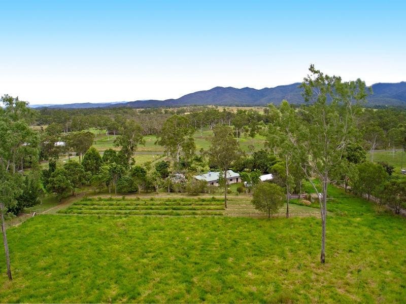 95 Mcleans Bridge Road, Julatten QLD 4871