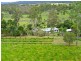 95 Mcleans Bridge Road, Julatten QLD 4871