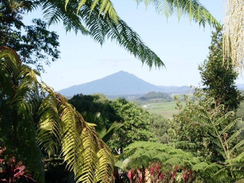 LOT 11 MT PERSEVERANCE RD, Julatten QLD 4871