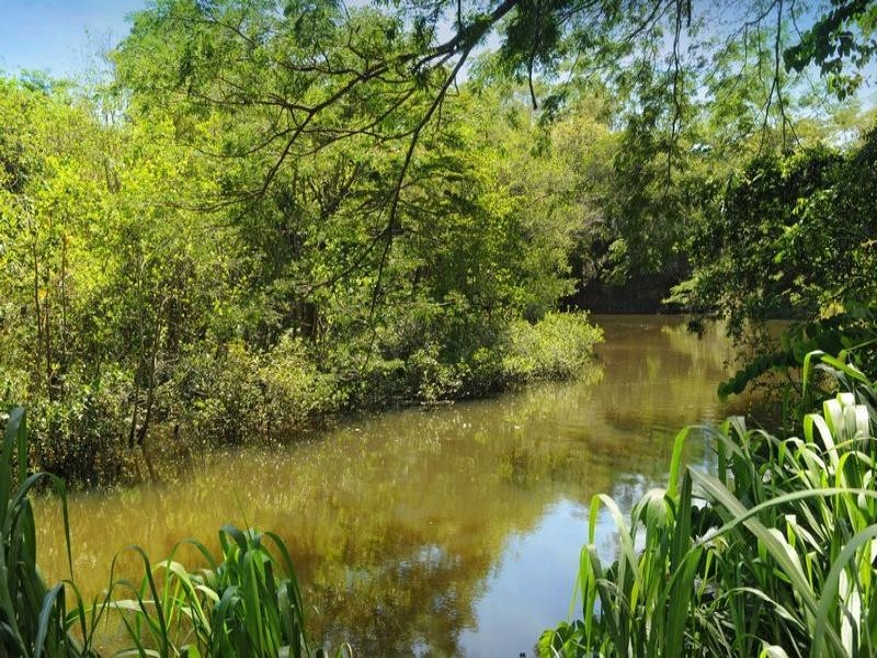 255 MOWBRAY RIVER RD, Port Douglas QLD 4877