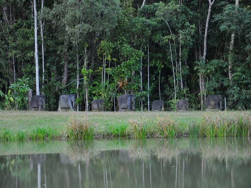 25 Rainforest Drive, Julatten QLD 4871