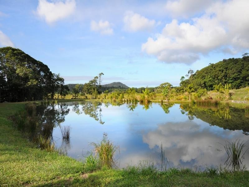 25 Rainforest Drive, Julatten QLD 4871