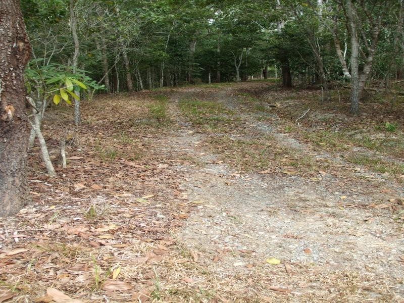 LOT 17 THOMSON LOW DRIVE, Shannonvale QLD 4873
