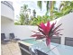 3/18 Limpet Ave, Port Douglas QLD 4877
