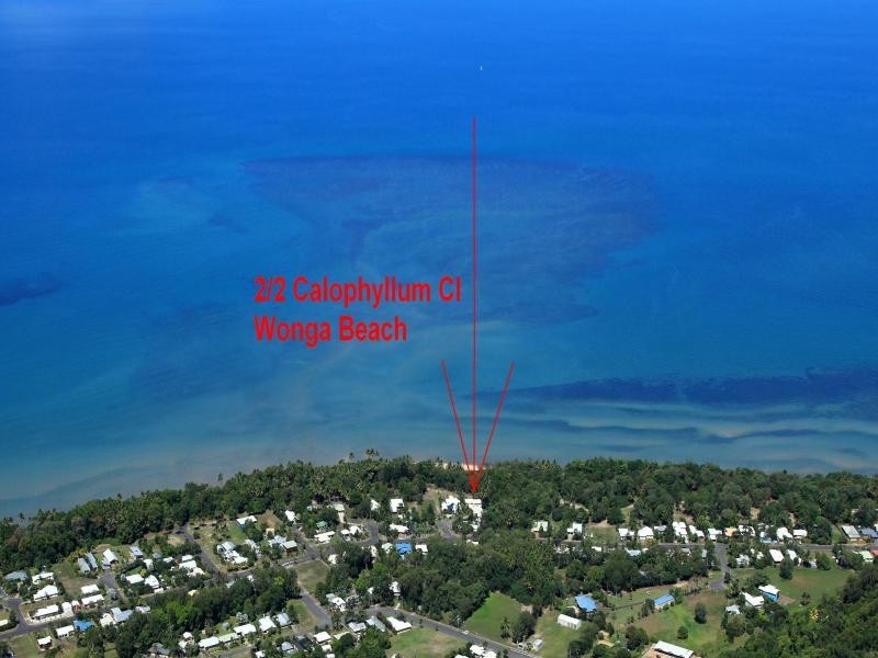 2/2 Calophyllum Close, Wonga QLD 4873