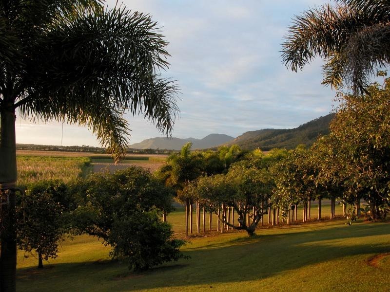 42 COOLALINGA DVE, Port Douglas QLD 4877