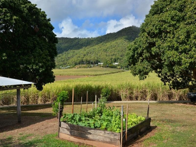 42 COOLALINGA DVE, Port Douglas QLD 4877