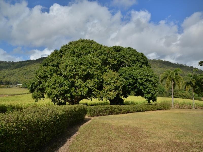 42 COOLALINGA DVE, Port Douglas QLD 4877