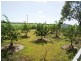Lot 4 Captain Cook Highway, Port Douglas QLD 4877