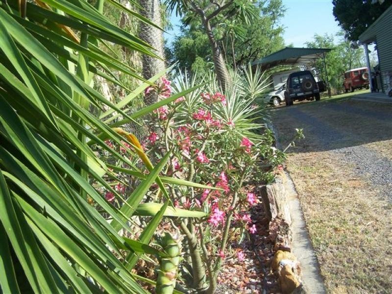 41 First Street, Forsayth QLD 4871