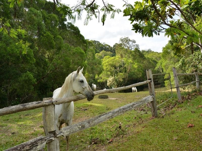 380 Pinnacle Rd, Julatten QLD 4871