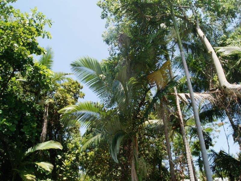 36 SORRENTO CRES, Port Douglas QLD 4877