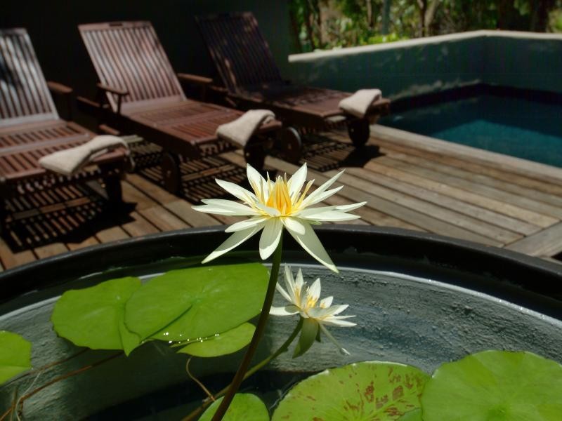 1/67 Murphy St, Port Douglas QLD 4877