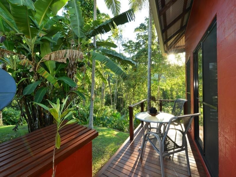 282 MOSSMAN-MT MOLLOY RD, Cassowary QLD 4873