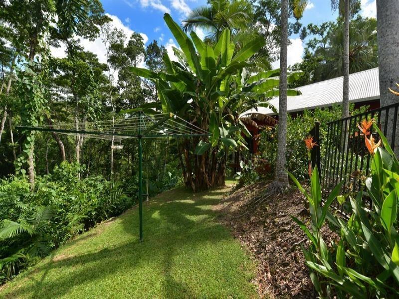 282 MOSSMAN-MT MOLLOY RD, Cassowary QLD 4873