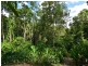 282 MOSSMAN-MT MOLLOY RD, Cassowary QLD 4873